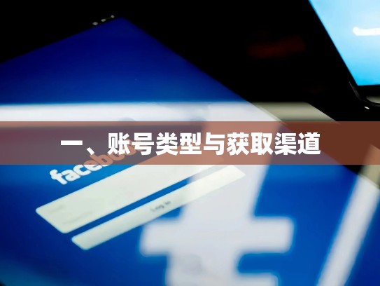一、账号类型与获取渠道