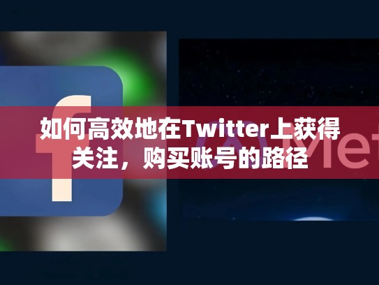 如何高效地在Twitter上获得关注，购买账号的路径