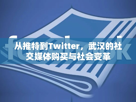 从推特到Twitter，武汉的社交媒体购买与社会变革