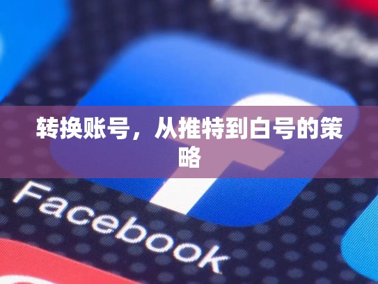 转换账号，从推特到白号的策略