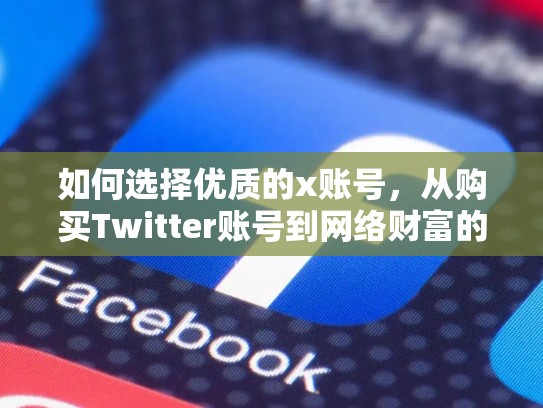 如何选择优质的x账号，从购买Twitter账号到网络财富的全能者