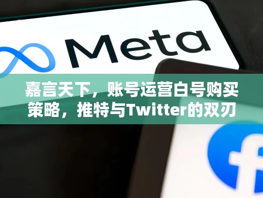 嘉言天下，账号运营白号购买策略，推特与Twitter的双刃剑