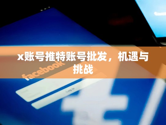 x账号推特账号批发，机遇与挑战