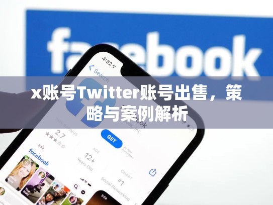 x账号Twitter账号出售，策略与案例解析