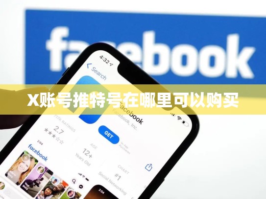 X账号推特号在哪里可以购买