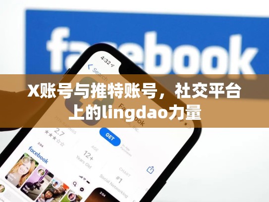 X账号与推特账号，社交平台上的lingdao力量