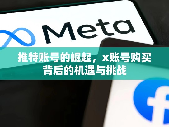推特账号的崛起，x账号购买背后的机遇与挑战