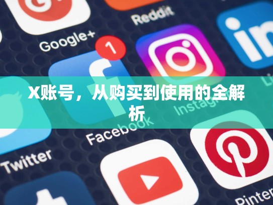 X账号，从购买到使用的全解析