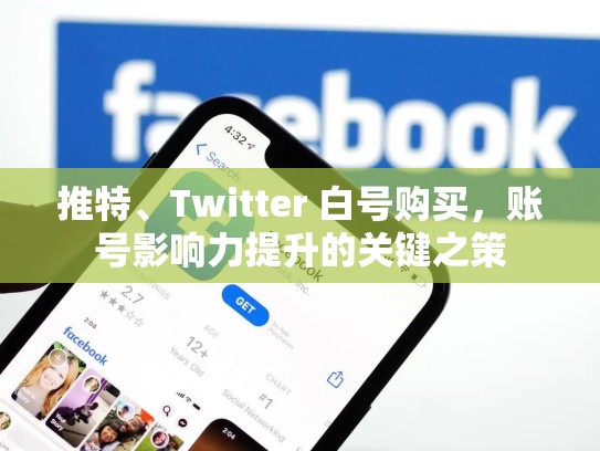 推特、Twitter 白号购买，账号影响力提升的关键之策