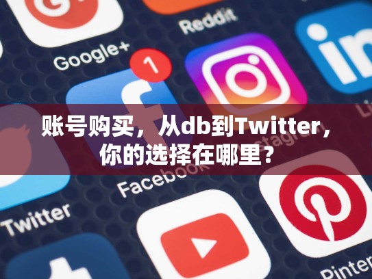账号购买，从db到Twitter，你的选择在哪里？