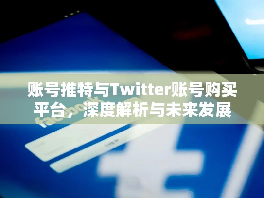 账号推特与Twitter账号购买平台，深度解析与未来发展