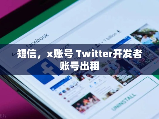 短信，x账号 Twitter开发者账号出租