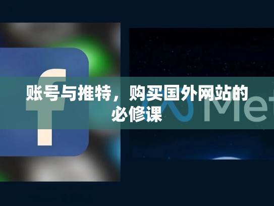 账号与推特，购买国外网站的必修课