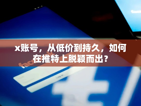 x账号，从低价到持久，如何在推特上脱颖而出？