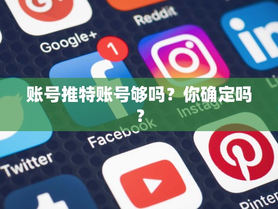 账号推特账号够吗？你确定吗？