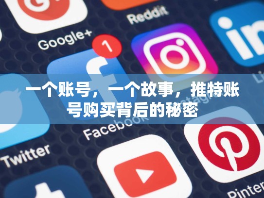 一个账号，一个故事，推特账号购买背后的秘密