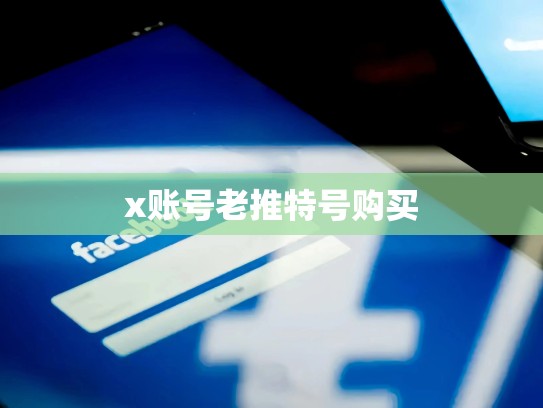 x账号老推特号购买