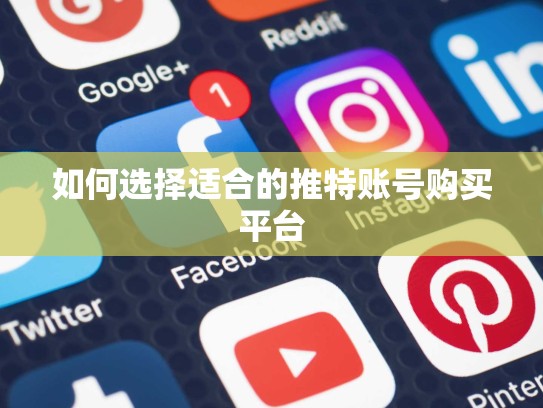 如何选择适合的推特账号购买平台