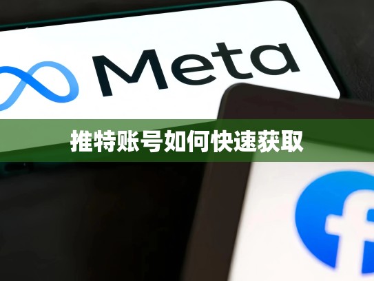 推特账号如何快速获取