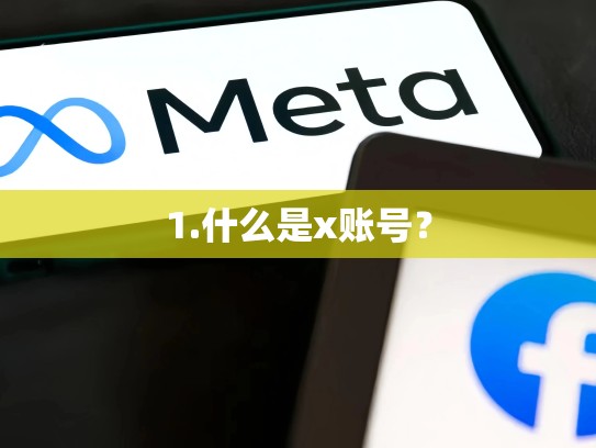 1.什么是x账号？