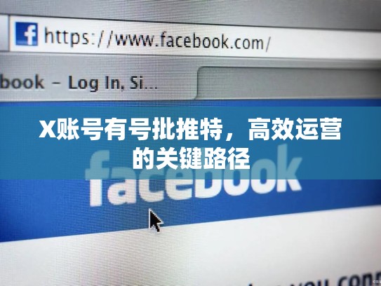 X账号有号批推特，高效运营的关键路径