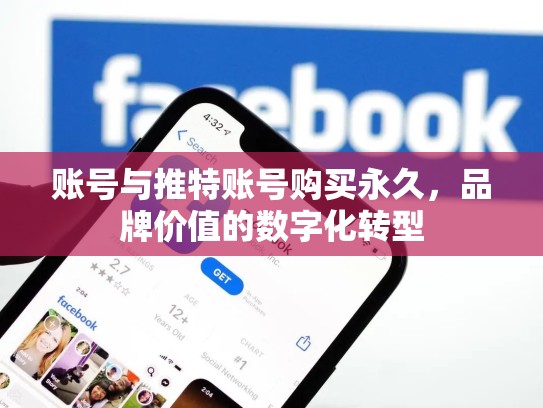 账号与推特账号购买永久，品牌价值的数字化转型