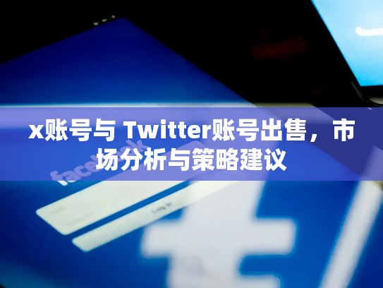 x账号与 Twitter账号出售，市场分析与策略建议