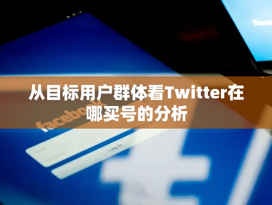 从目标用户群体看Twitter在哪买号的分析