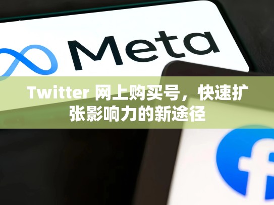 Twitter 网上购买号，快速扩张影响力的新途径