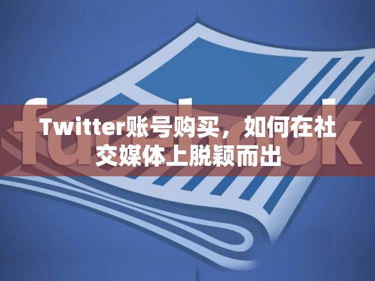 Twitter账号购买，如何在社交媒体上脱颖而出
