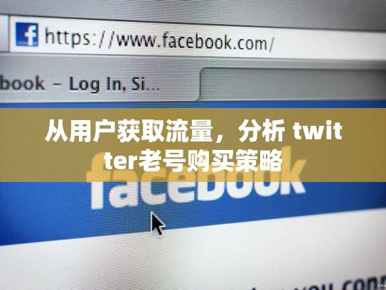 从用户获取流量，分析 twitter老号购买策略