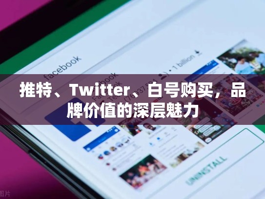 推特、Twitter、白号购买，品牌价值的深层魅力
