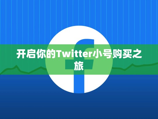 开启你的Twitter小号购买之旅