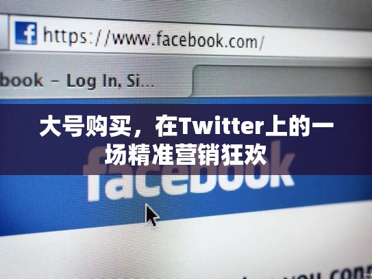 大号购买，在Twitter上的一场精准营销狂欢