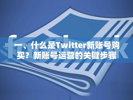 一、什么是Twitter新账号购买？新账号运营的关键步骤