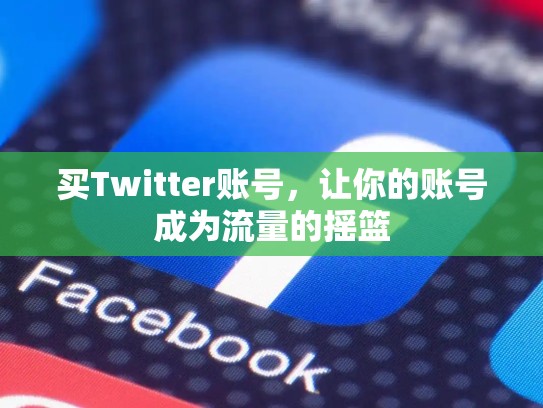 买Twitter账号，让你的账号成为流量的摇篮