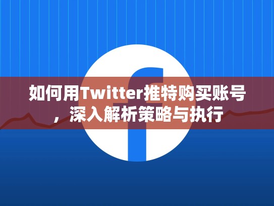 如何用Twitter推特购买账号，深入解析策略与执行